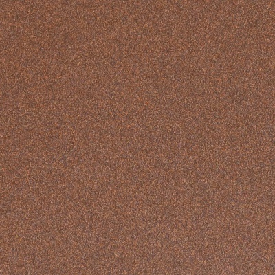 9550 Хамелеон